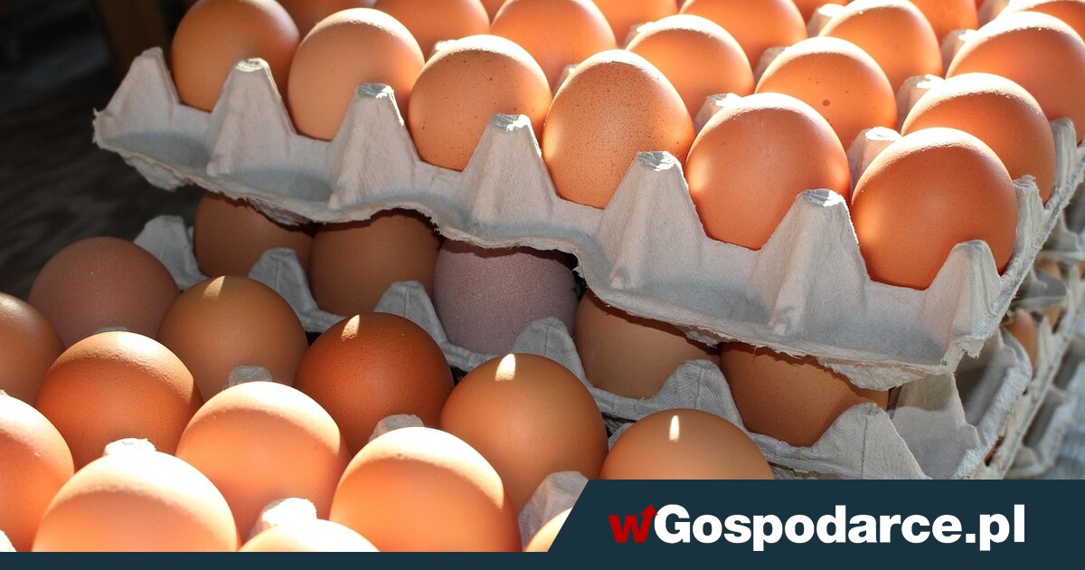 Nieuchronna „ekologiczna” podwyżka cen jaj