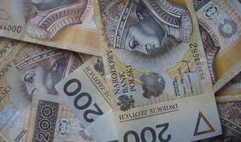 Nawet 30 proc. PKB może wynosić w Polsce szara strefa, a utracone wpływy podatkowe sięgają dziesiątek miliardów złotych