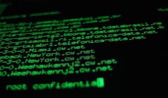 EY: złośliwe oprogramowanie i phishing największymi cyber-zagrożeniami