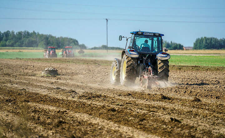 Rolnik / autor: Fratria