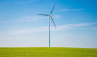 Mieszkający przy farmach wiatrowych zapłacą znacznie mniej za prąd?