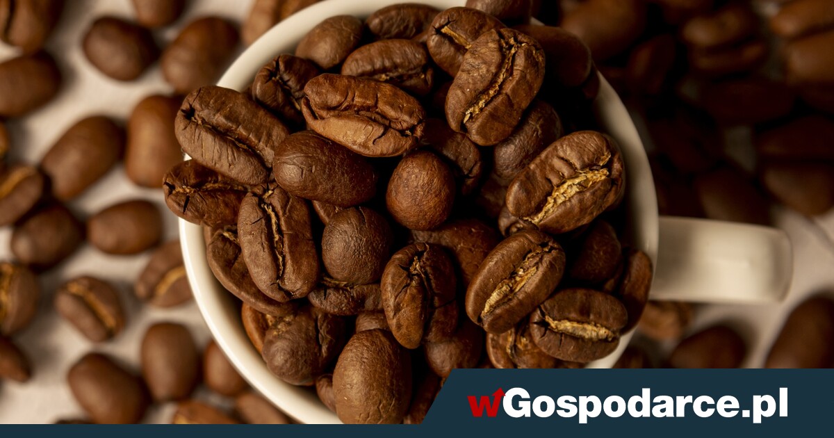 Uwaga na podrabianą kawę! Uruchom węch, smak i wzrok