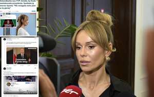 Dorota Rabczewska w Sejmie / autor: Fratria