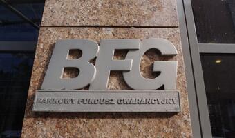 Szef BFG o Idea Banku: kontekst wyłącznie ekonomiczno-finansowy
