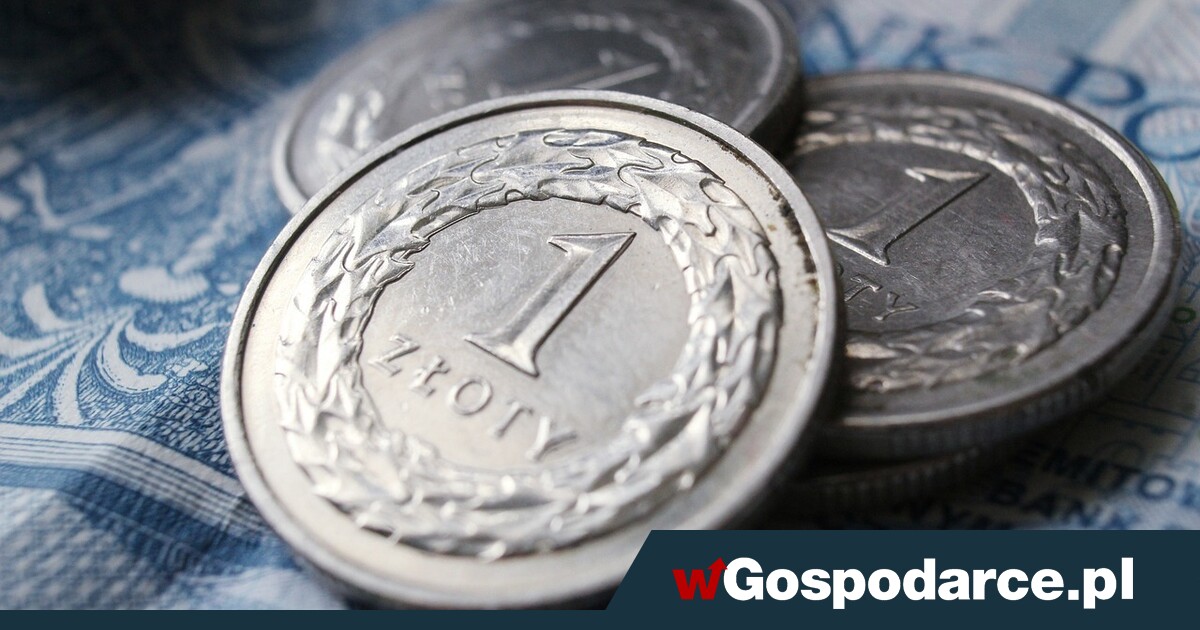 Kurs złotego. Będzie lekka korekta w górę?