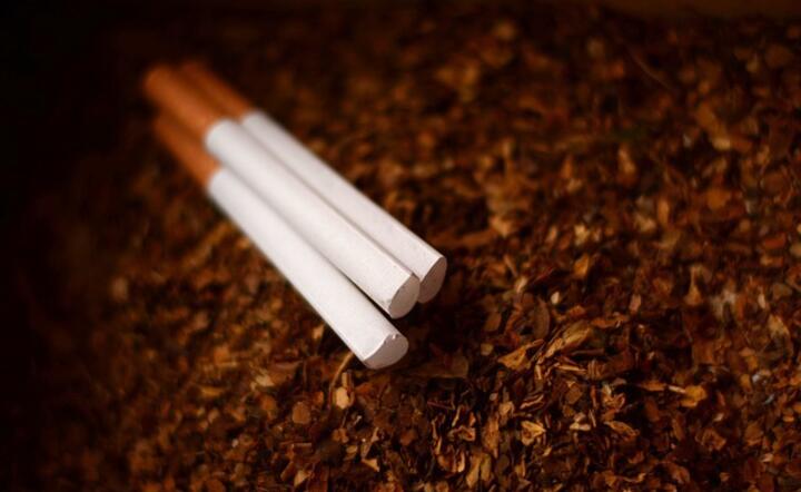 papierosy / autor: pixabay
