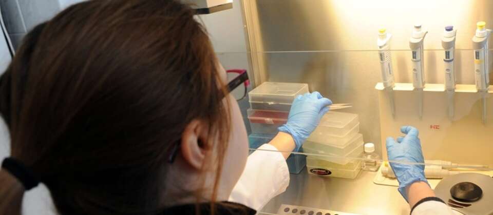 fot. PAP/ Marcin Bielecki/arch