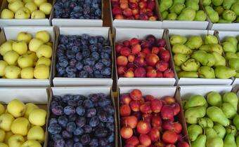 Słabe zbiory owoców oznaczają wyższe ceny
