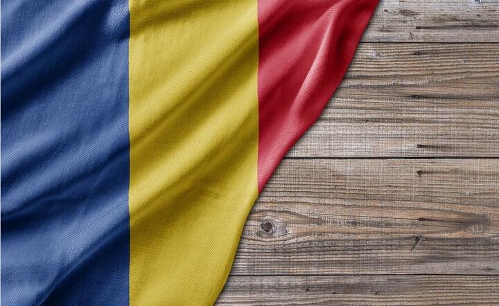 Rumunia wprowadza prawo o leczeniu Covid 19 / autor: Pixabay