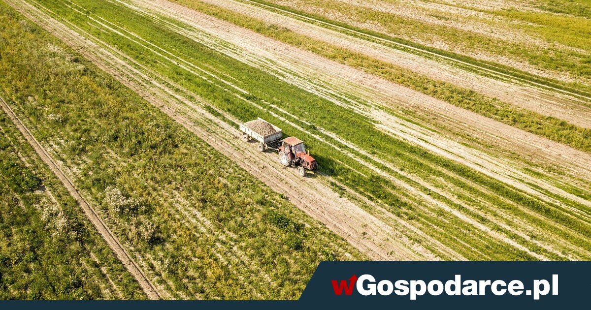 Ile hektarów ma polski rolnik?