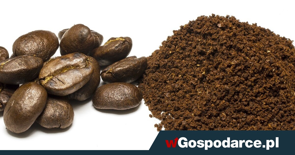 Kawa dramatycznie drożeje. „Dwucyfrowe wzrosty”