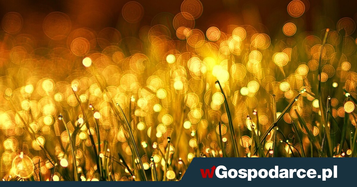 Woda na wagę złota – jak ESG wpływa na ceny kruszcu