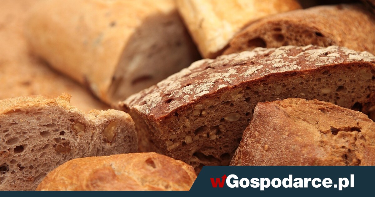 Pieczywo pełnoziarniste, czy na zakwasie?