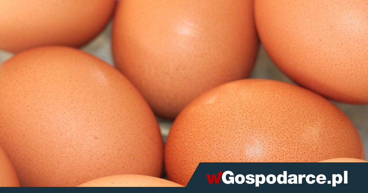 Groźny incydent! Jaja z Ukrainy z antybiotykami