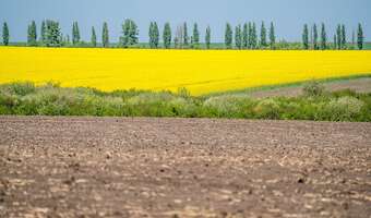 Czarnoziemy Ukrainy zagrożone