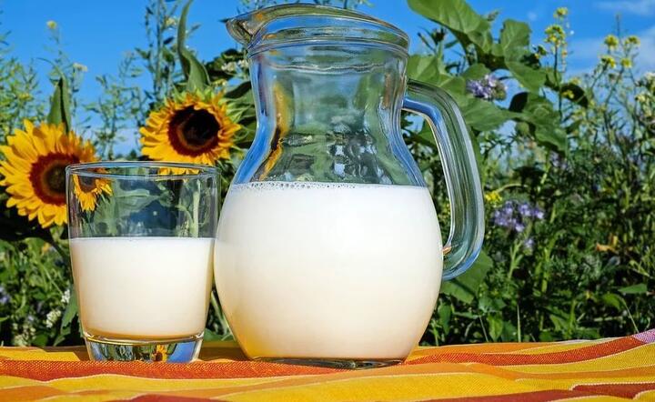 Produkcja mleka / autor: Pixabay 