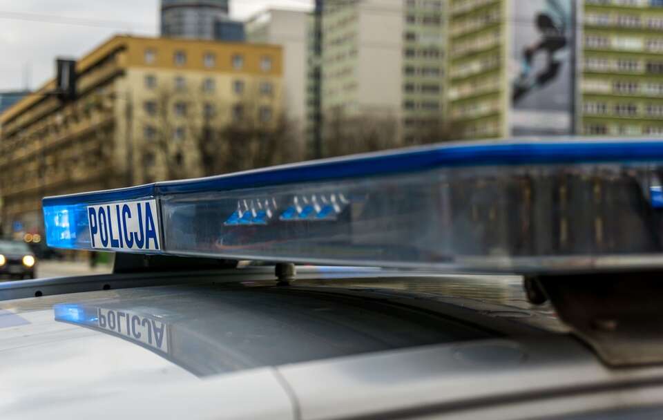 Policja / autor: Fratria