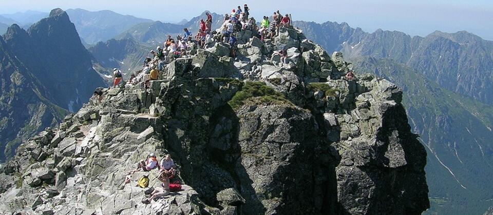 fot. Wikimedia Commons