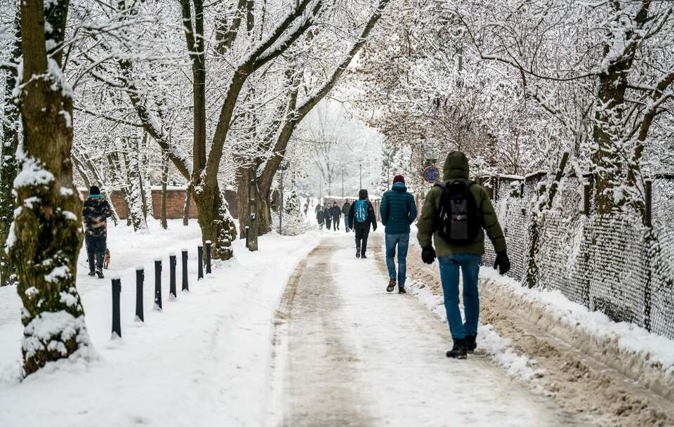 Zdjęcie ilustracyjne  / autor: Fratria