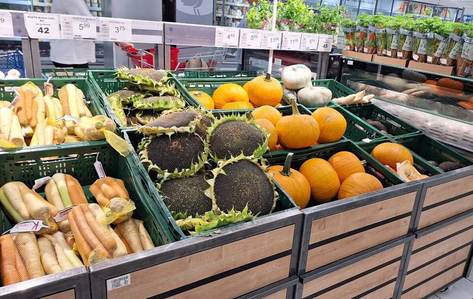 Zdjęcie ilustracyjne  / autor: Fratria