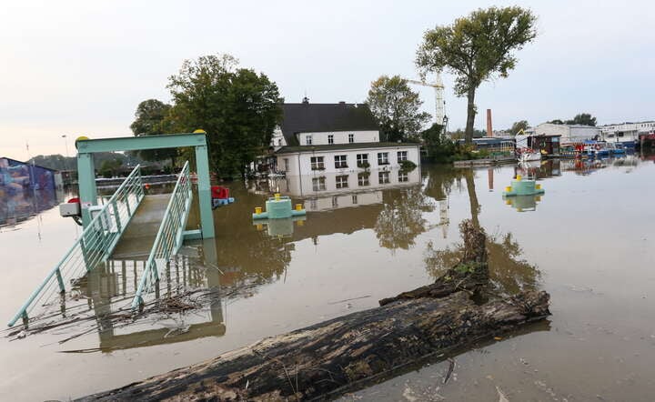 PZU wypłaciło powodzianom ponad 111 mln zł