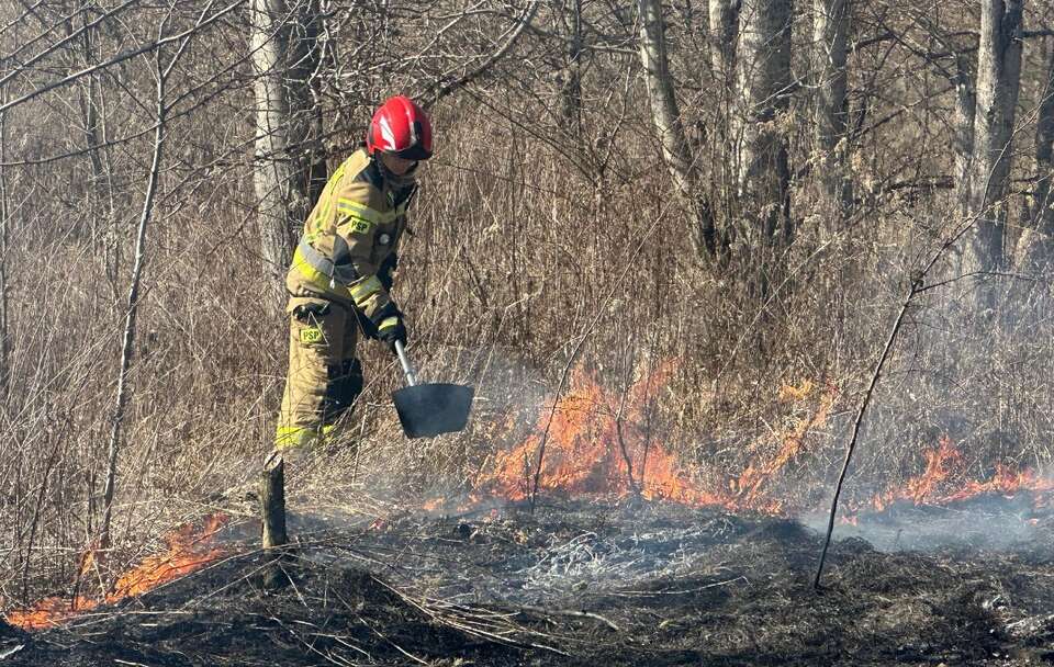 Zdjęcie ilustracyjne  / autor: X/@KGPSP