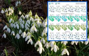 Meteorolodzy IMGW pokazali najnowsze mapy pogodowe / autor: Fratria/IMGW 