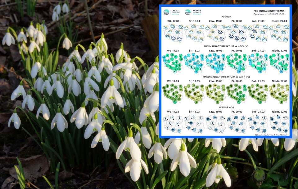 Meteorolodzy IMGW pokazali najnowsze mapy pogodowe / autor: Fratria/IMGW 