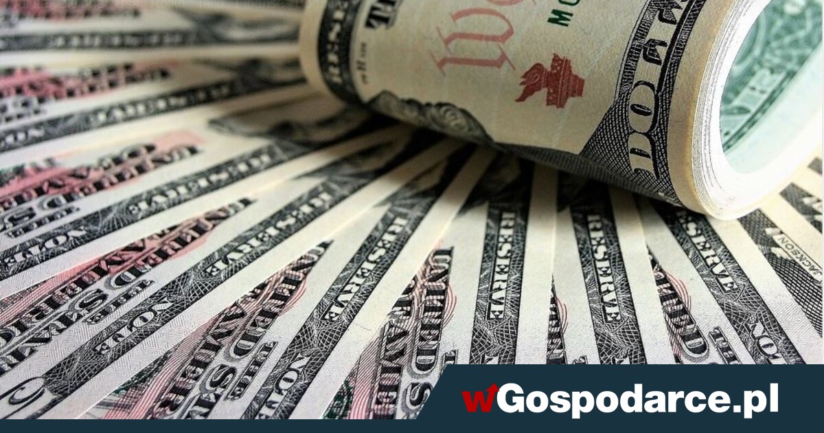 Forex ranking brokerów, platformy po polsku