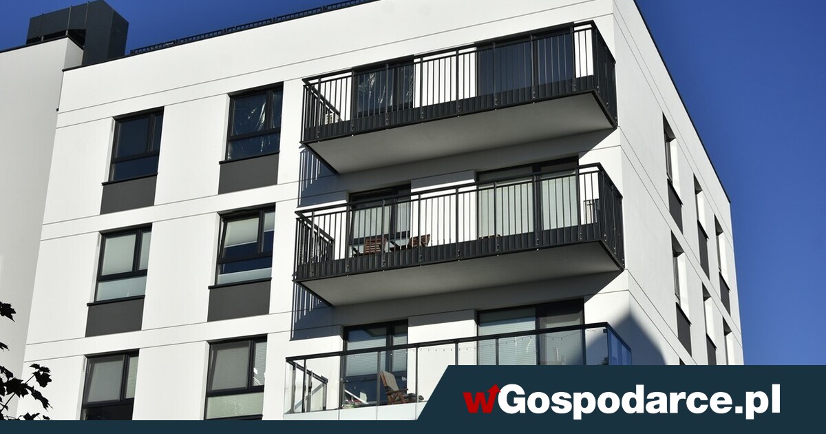 Fala optymizmu u deweloperów