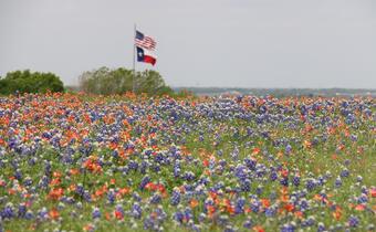 Gubernator Teksasu zapowiedział zatrzymanie stanowych kongresmenów