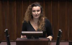 autor: screenshot sejm.gov.pl