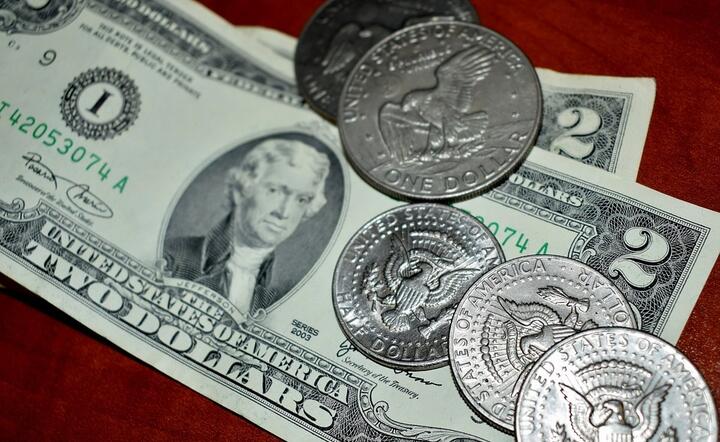 Deklaracje „bilionowej” pomocy fiskalnej ze strony prezydenta USA od 20 stycznia Joe Bidena będą szkodzi dolarowi, pod warunkiem, że Fed pozostanie gołębi / autor: Pixabay
