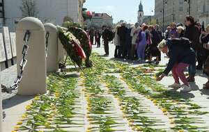 Tulipany dla śp. Marii Kaczyńskiej / autor: TV wPolsce24