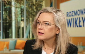 Małgorzata Wassermann / autor: wPolsce24