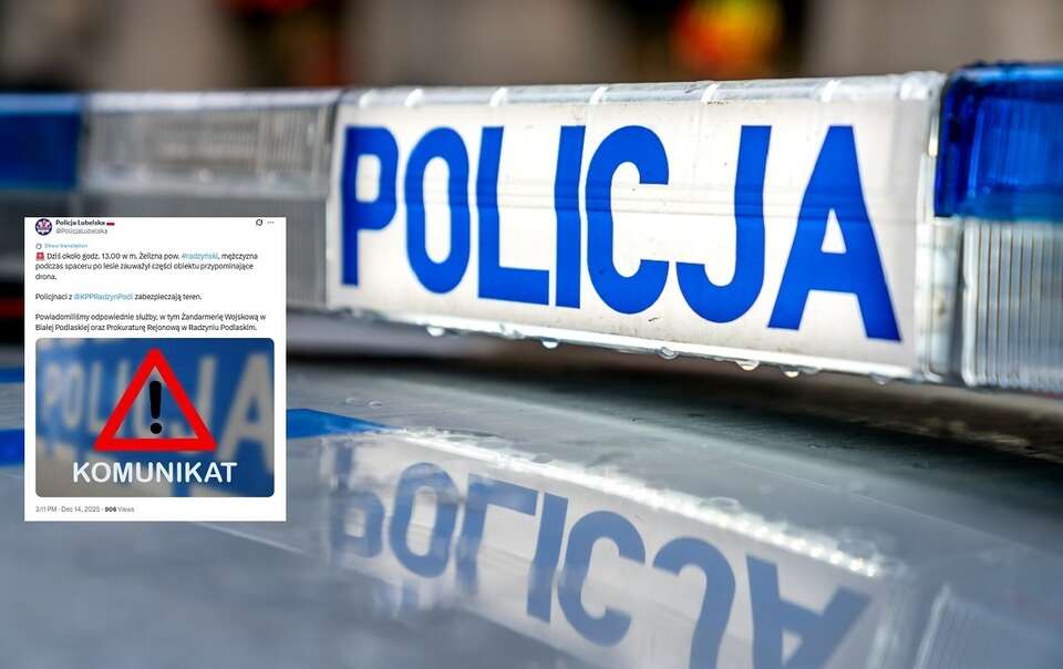 Zdj. ilustracyjne - policyjny "kogut" / autor: Fratria