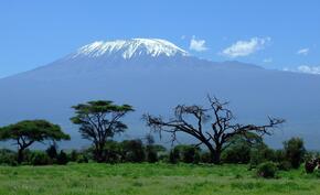 Internet na … Kilimandżaro. Chiny pomagają