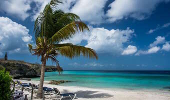 Polscy turyści mogą ubezpieczyć się od... aktów terroru