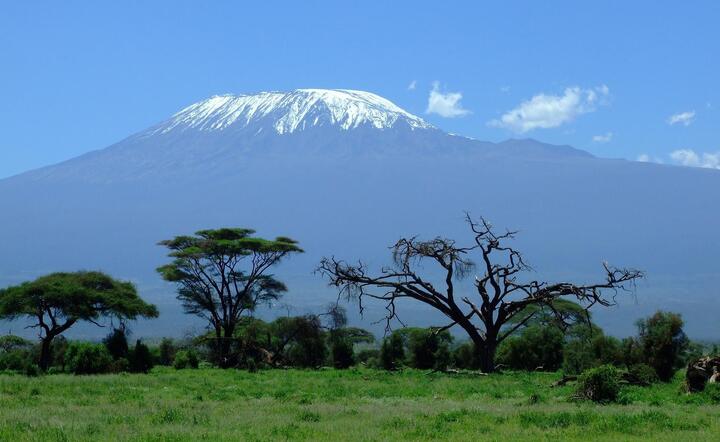 Kilimandżaro. Tanzania / autor: pixabay.com