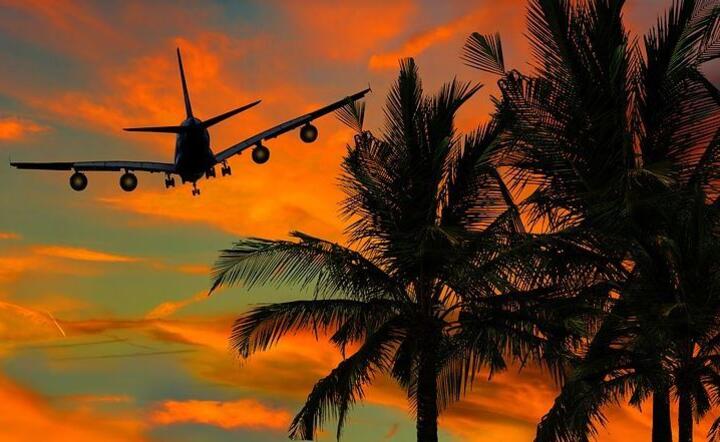 Samolot z ładunkiem  / autor: Pixabay 