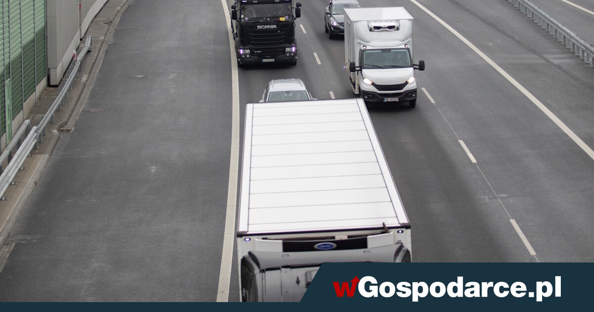 Kompromitacja rządu! Bosak: Ponad 1000 tirów uwięzionych na Białorusi