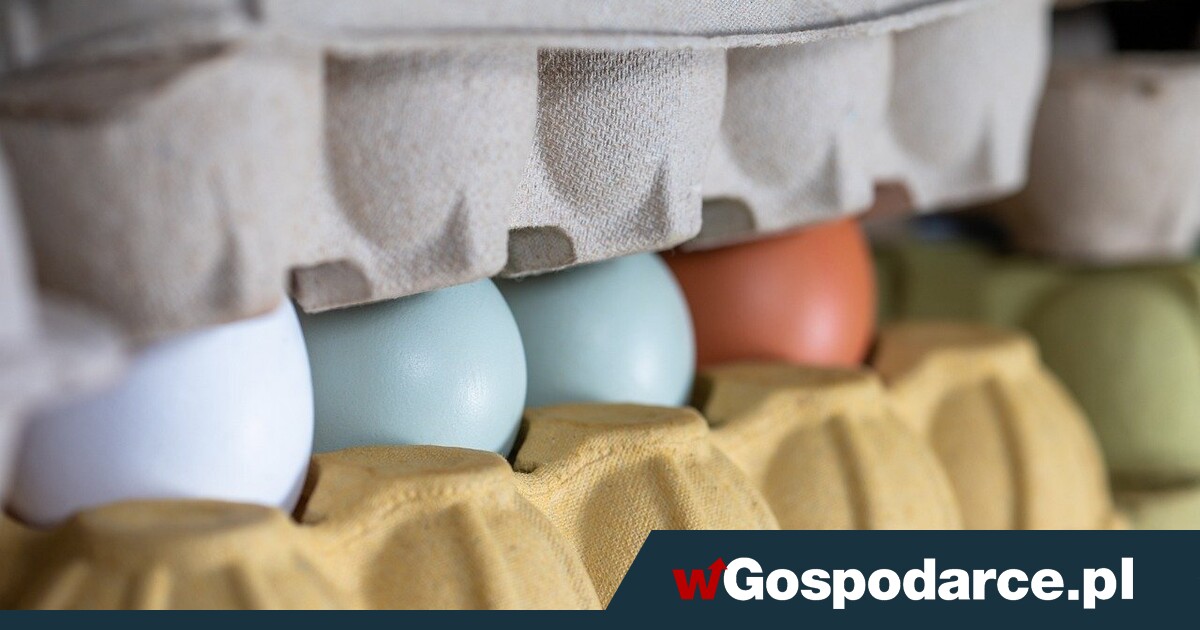 Ajajaj, będzie wielki problem jaj!