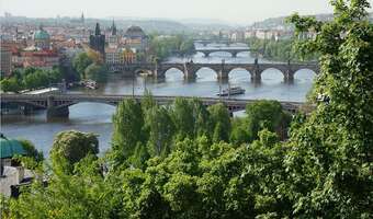 Czechy wyprzedziły nas w cyfryzacji urzędów