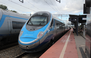 Pendolino / autor: Fratria