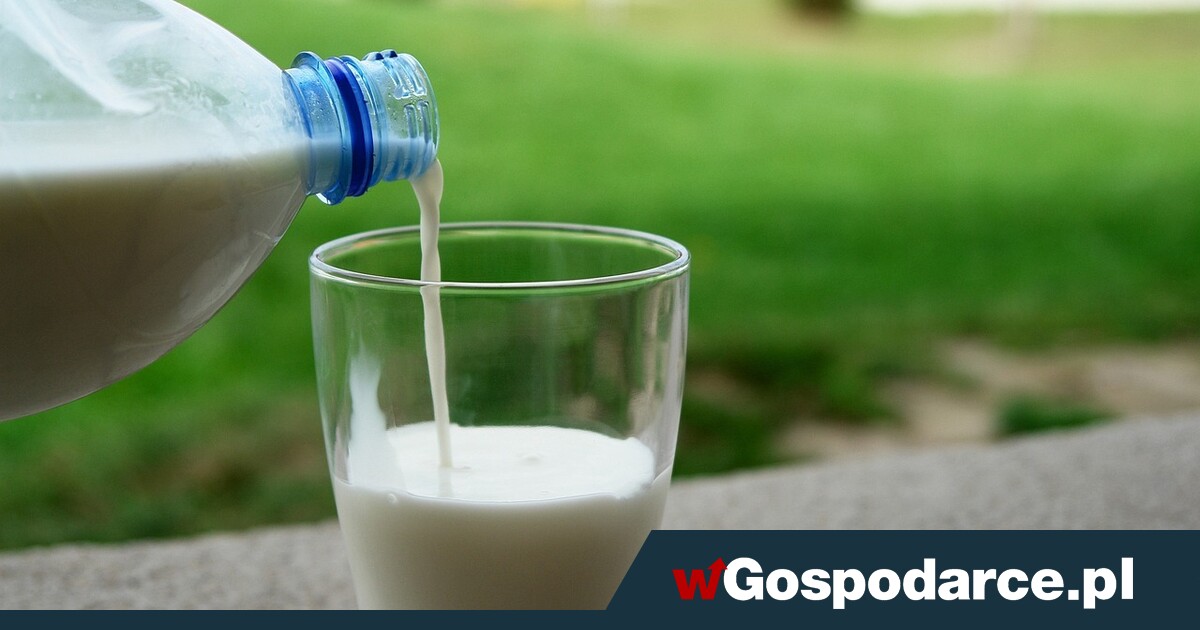 Mleko pasteryzowane, UHT, a może „Bez laktozy”?