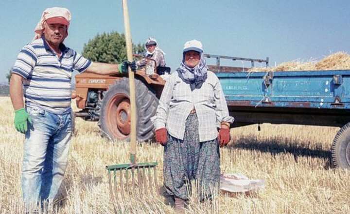 Prace nad ustawą o aktywnym rolniku są już na zaawansowanym etapie. / autor: Freepik