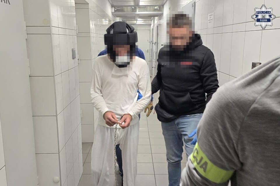 Policja zatrzymała podejrzanego o zabójstwo 87-latki / autor: Policja Śląska