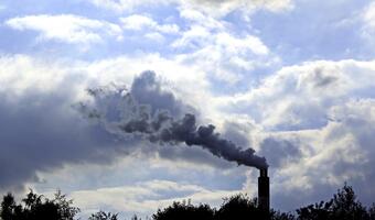 Polska sprzedała uprawnienia do emisji CO2 po 74,56 euro