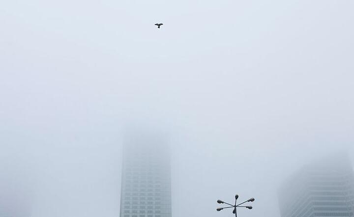 Smog / autor: Fratria