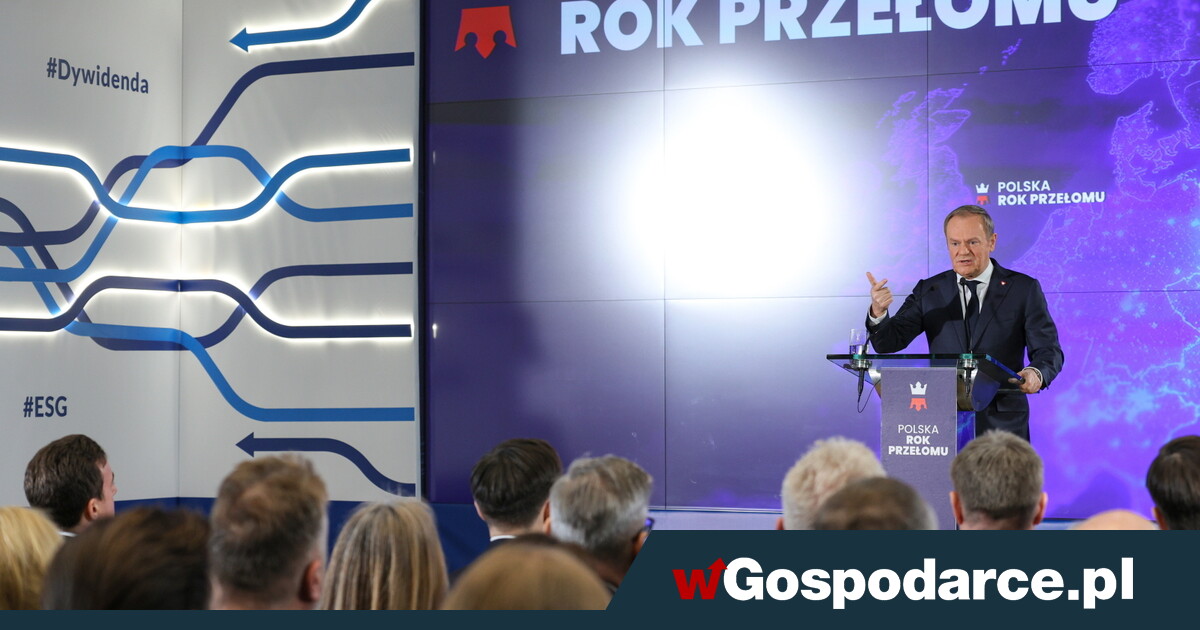 Program gospodarczy, którego nie ma